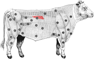 Beef Shank - Onglet meatmap