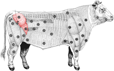 Rump Steak meatmap