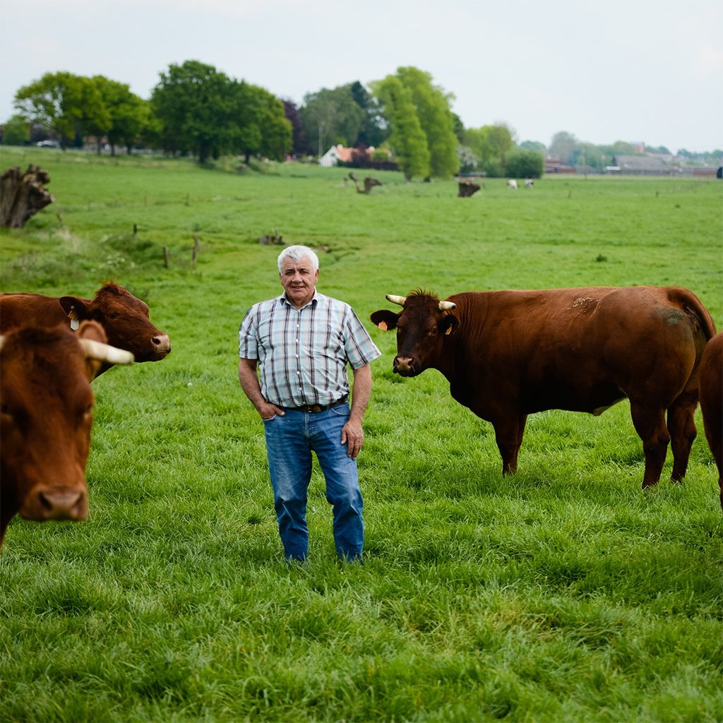 Cultivateur à l'honneur - Noël Vandecasteele - Éleveur à la une