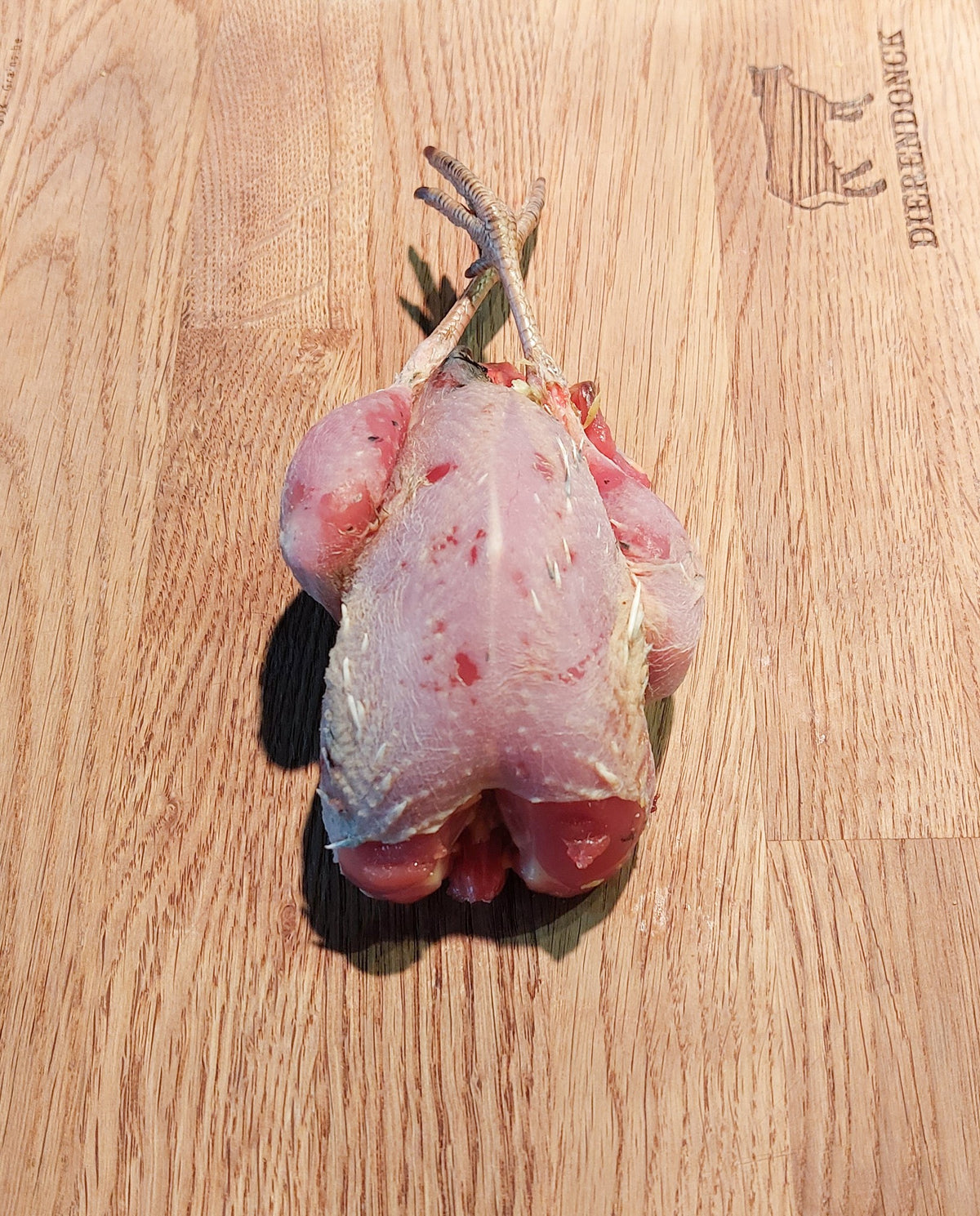 Partridge