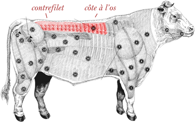 Holstein meatmap