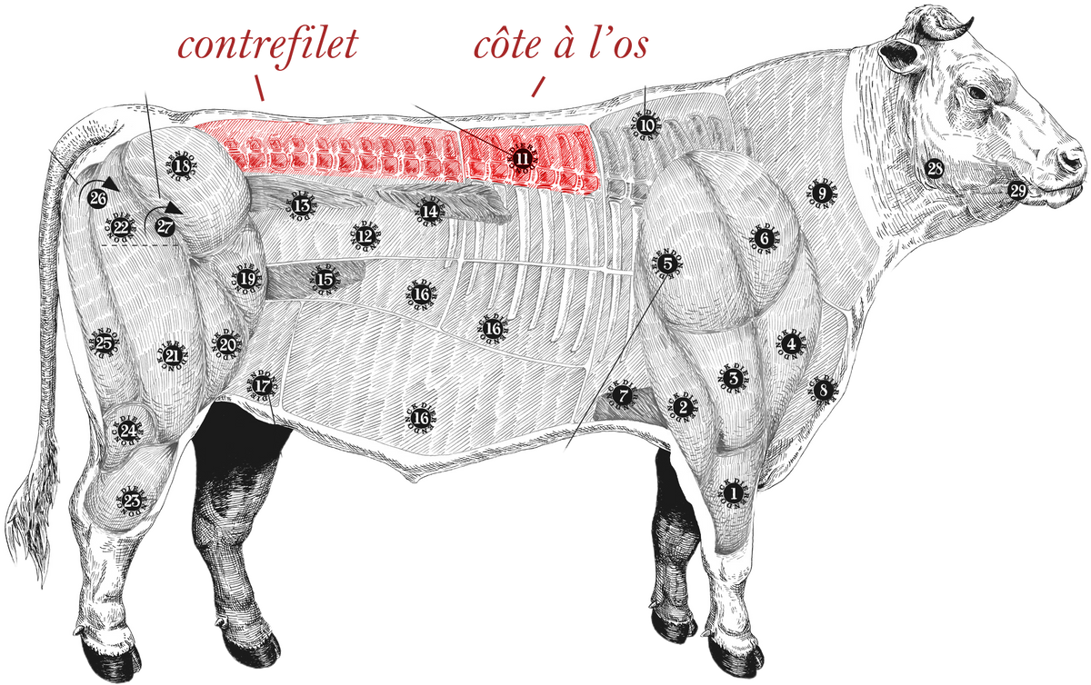 Rundsvlees - koe afbeelding (meatmap)