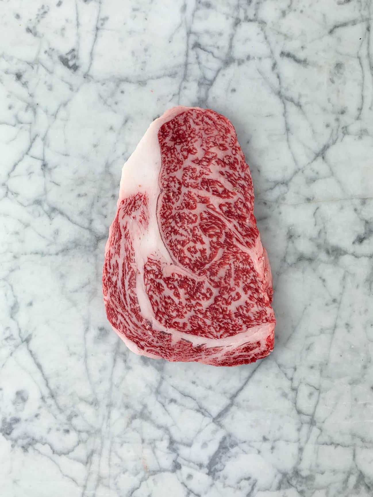 DIERENDONCK-WEBSHOP_WAGYU