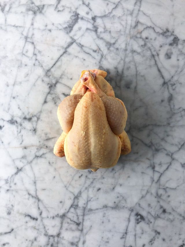 French Poussin