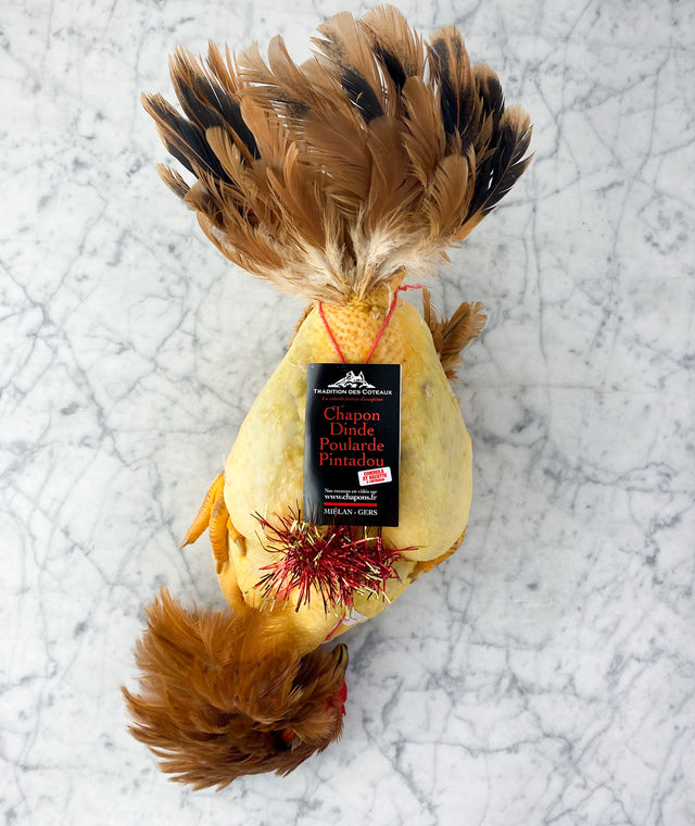 Chapon Tradition - Traditions des Coteaux