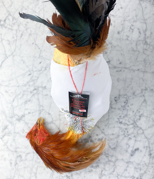 Chapon Bastide - Traditions des Coteaux