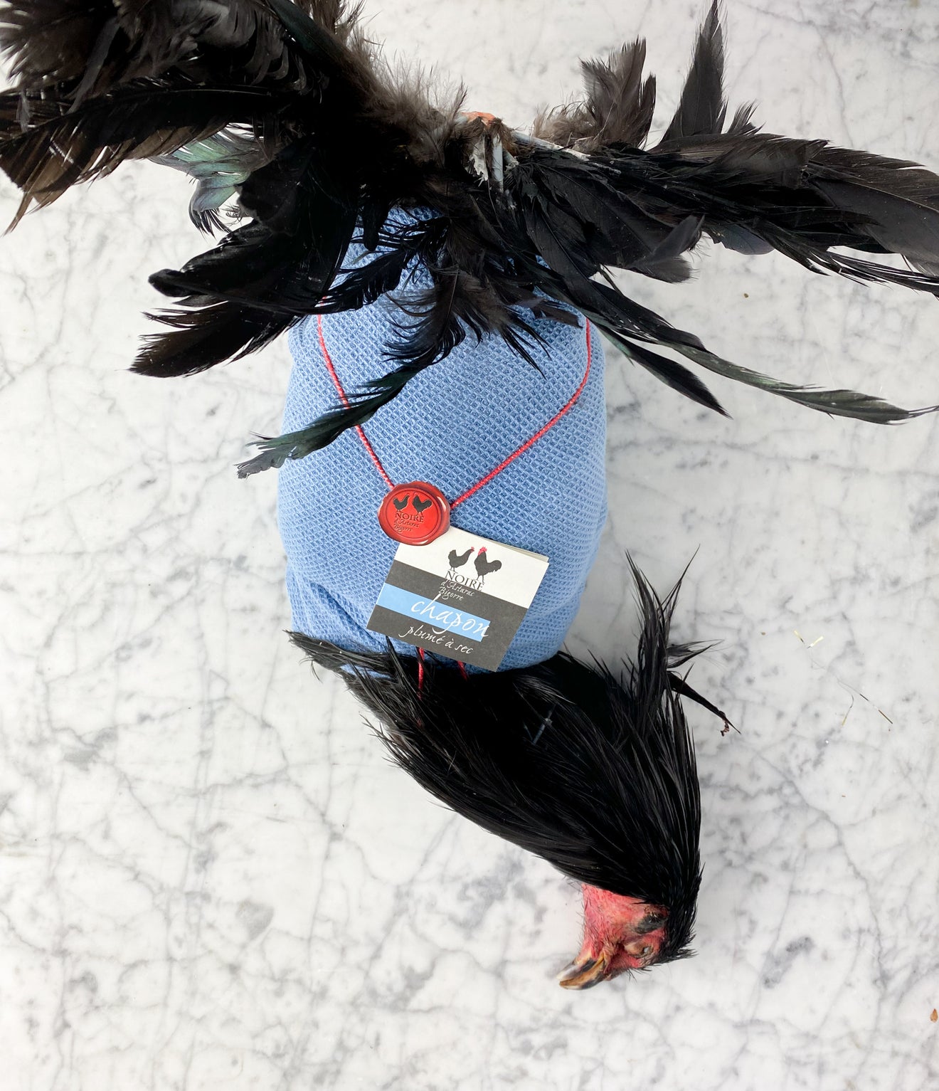 Chapon Gascon - Traditions des Coteaux