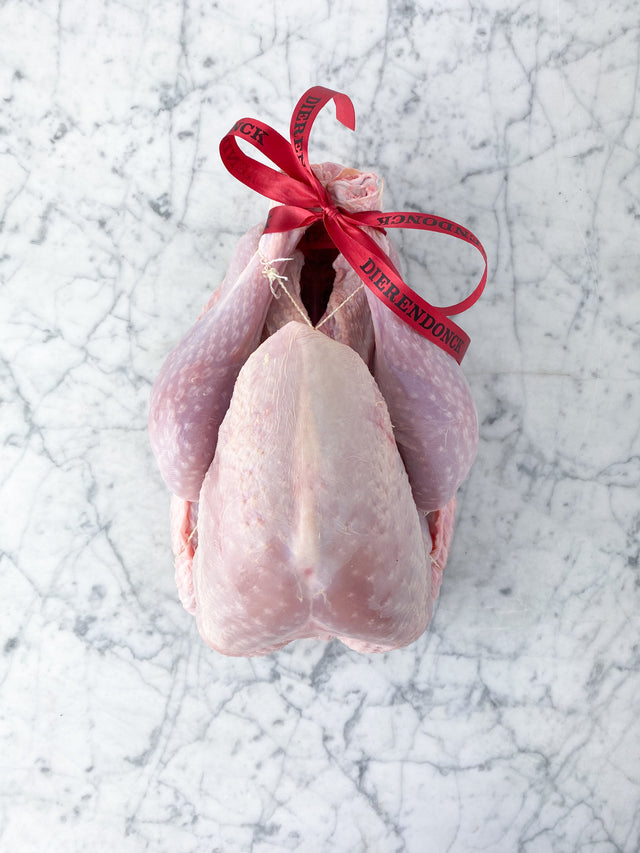 Hoevekalkoen van Licques - zonder farce