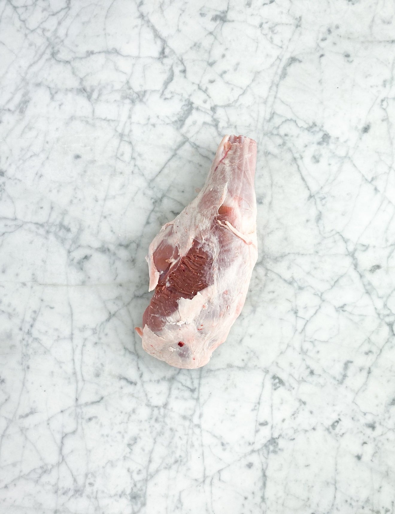 DIERENDONCK_WEBSHOP_MELKLAMPYRENEEEN_LAMSBOUT