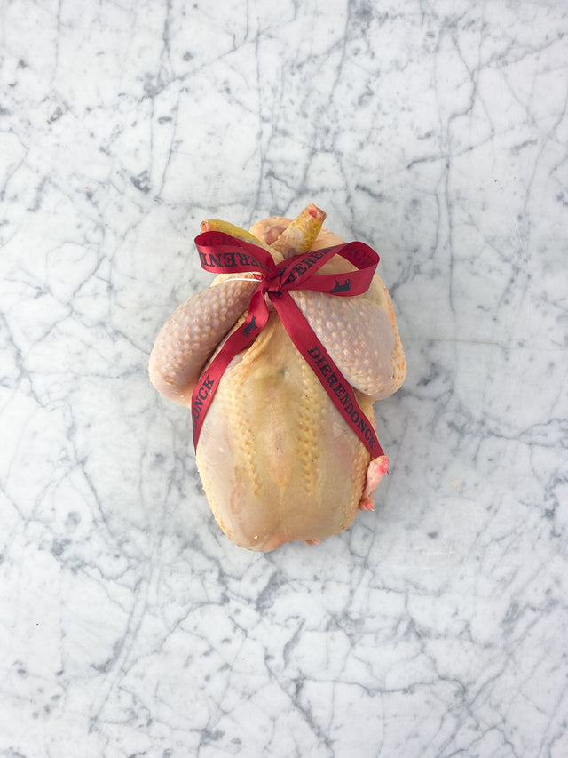 Opgevulde Hoevekip - Klassieke farce